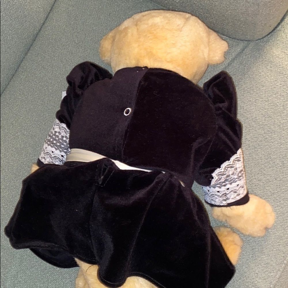 Rare Large Alice Vanderbear!!  - Picture 4 of 4